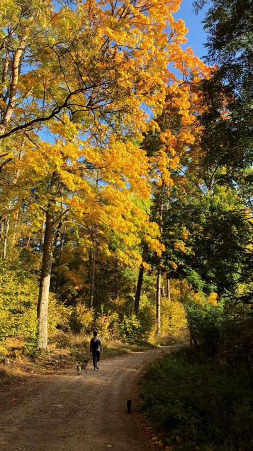 Pokoje Cztery Pory Roku Mikołajki Buitenkant foto